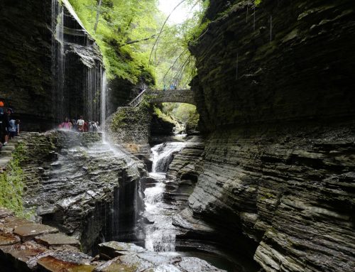 Watkins Glen State Park, NY